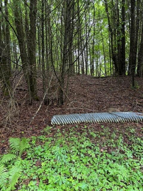 Photo 3 of Lot 70 25th Line, Algonquin Highlands, Stanhope — HOMEH