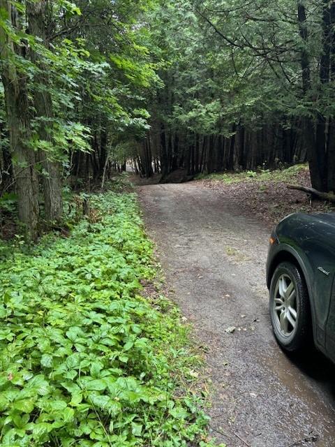 Photo 4 of Lot 70 25th Line, Algonquin Highlands, Stanhope — HOMEH