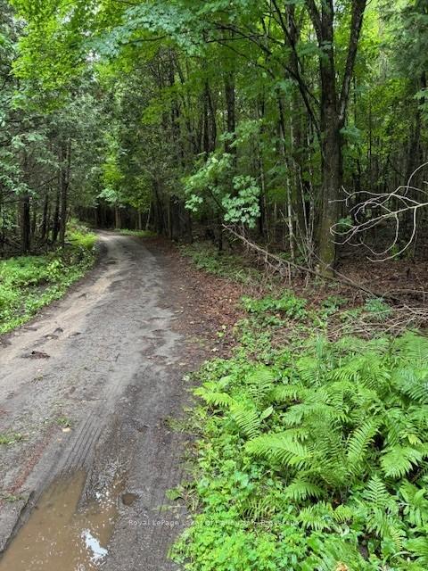 Photo 5 of Lot 70 25th Line, Algonquin Highlands, Stanhope — HOMEH