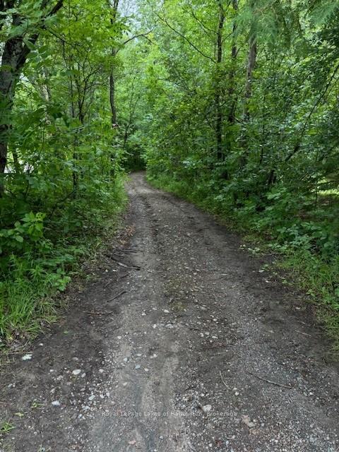 Photo 8 of Lot 70 25th Line, Algonquin Highlands, Stanhope — HOMEH
