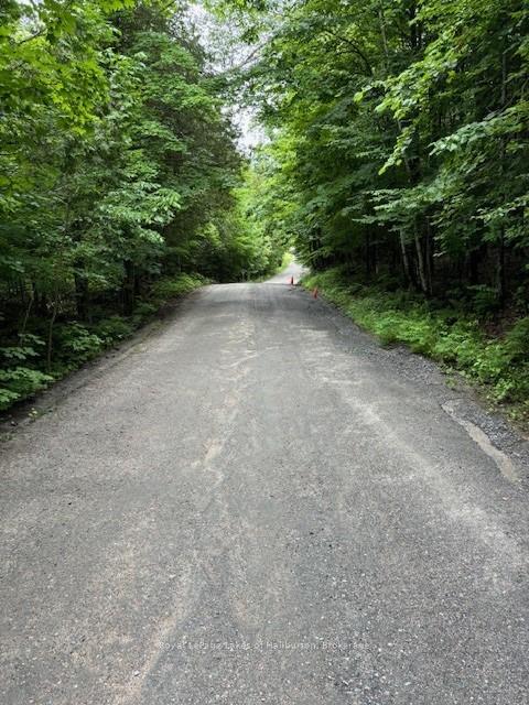 Photo 9 of Lot 70 25th Line, Algonquin Highlands, Stanhope — HOMEH