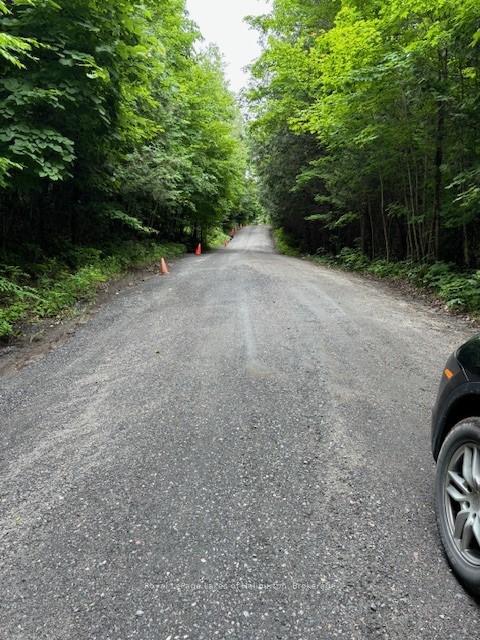 Photo 10 of Lot 70 25th Line, Algonquin Highlands, Stanhope — HOMEH