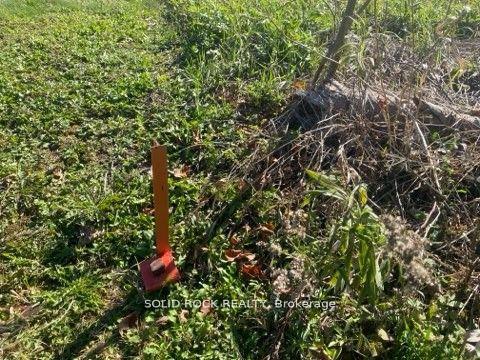 Photo 11 of Lot Flagg Road, South Dundas, South Dundas (Matilda) Twp — HOMEH
