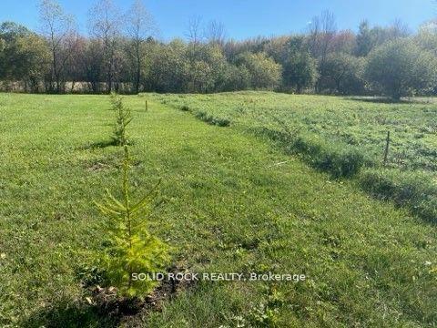 Photo 12 of Lot Flagg Road, South Dundas, South Dundas (Matilda) Twp — HOMEH