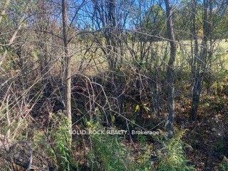Photo 17 of Lot Flagg Road, South Dundas, South Dundas (Matilda) Twp — HOMEH