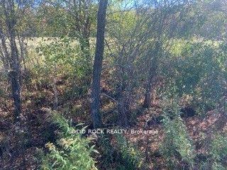 Photo 18 of Lot Flagg Road, South Dundas, South Dundas (Matilda) Twp — HOMEH