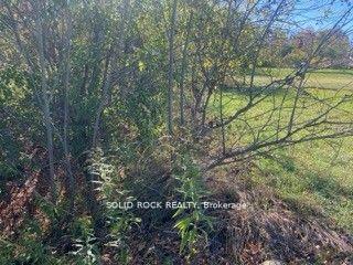 Photo 19 of Lot Flagg Road, South Dundas, South Dundas (Matilda) Twp — HOMEH