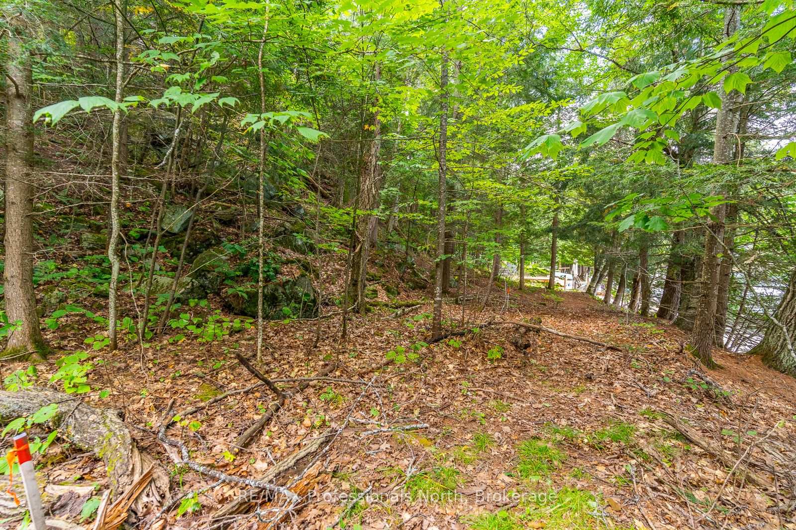 Photo 4 of 1024 Tarpaper Trail, Dysart et al, Guilford — HOMEH