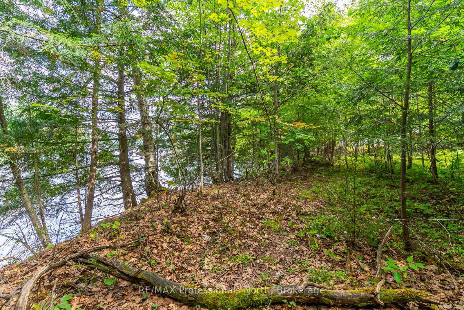 Photo 7 of 1024 Tarpaper Trail, Dysart et al, Guilford — HOMEH