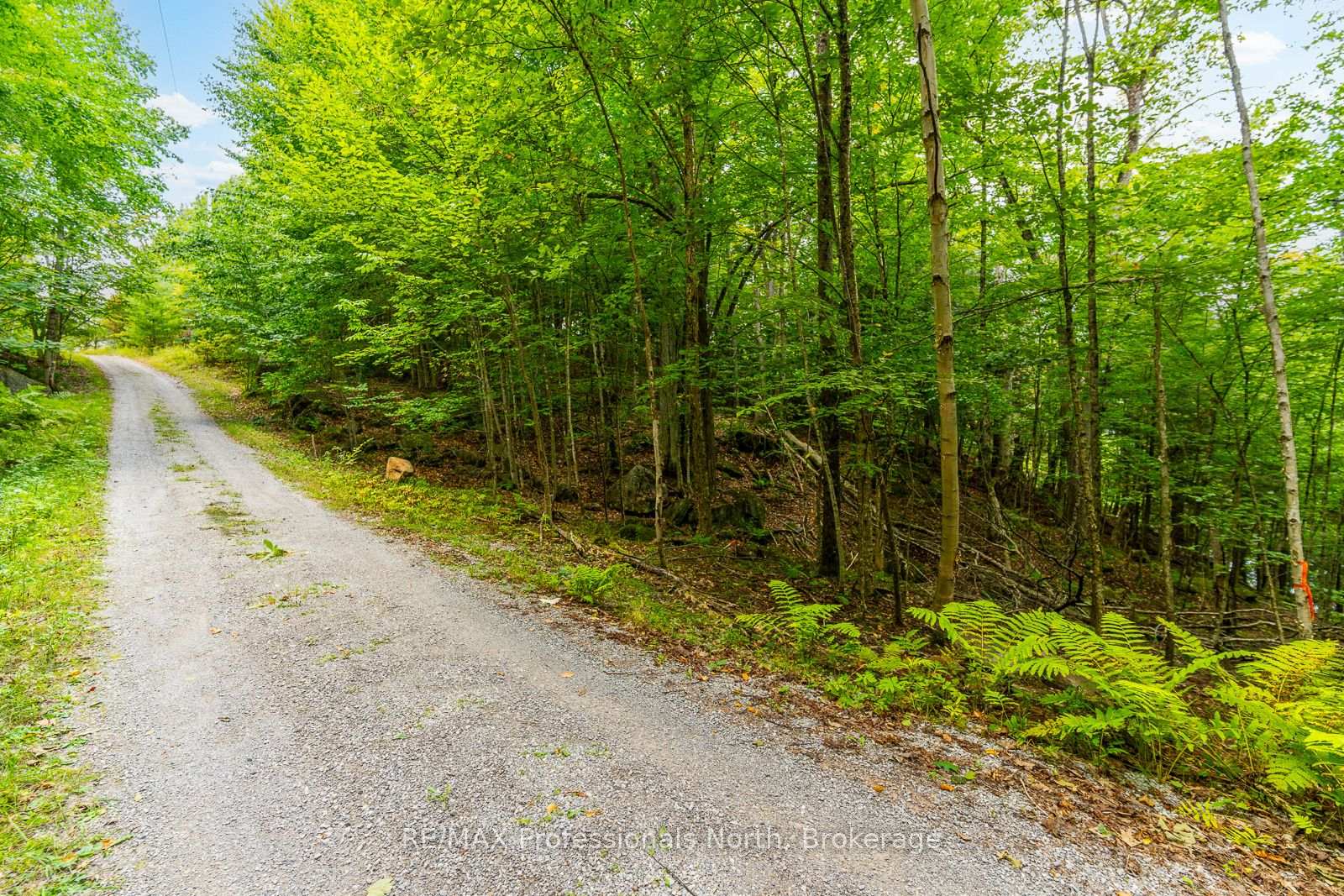 Photo 11 of 1024 Tarpaper Trail, Dysart et al, Guilford — HOMEH