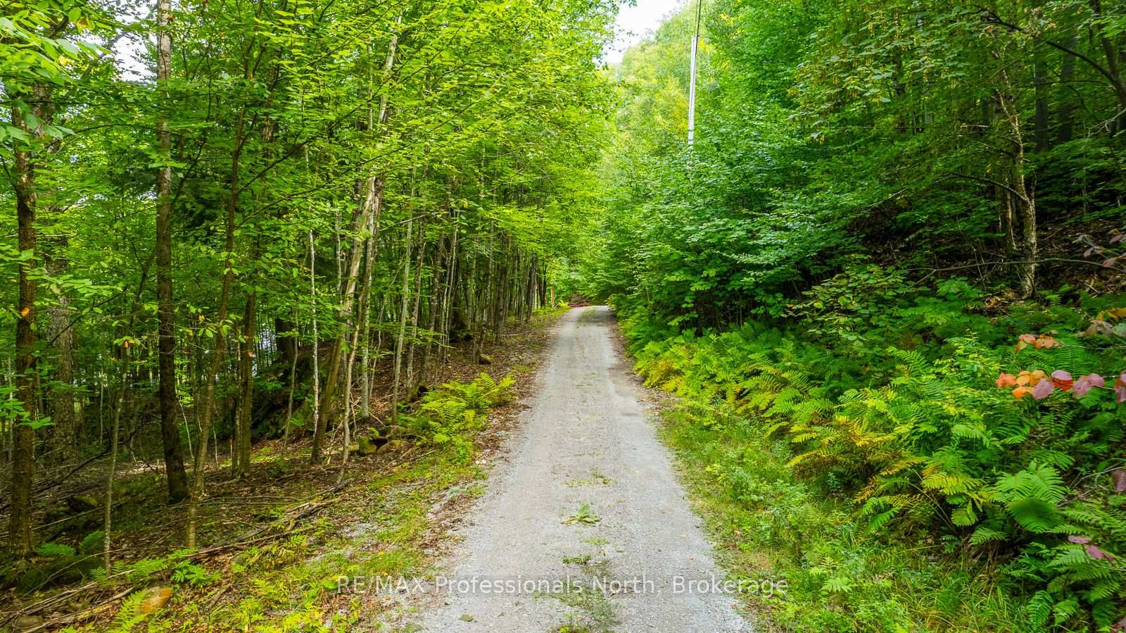Photo 12 of 1024 Tarpaper Trail, Dysart et al, Guilford — HOMEH