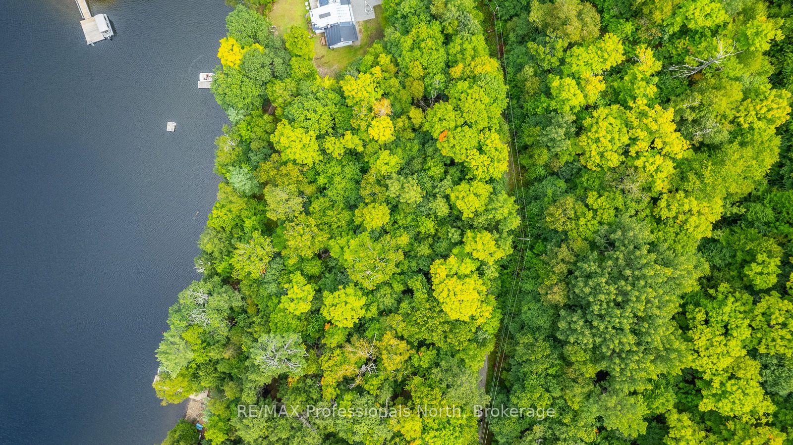 Photo 15 of 1024 Tarpaper Trail, Dysart et al, Guilford — HOMEH