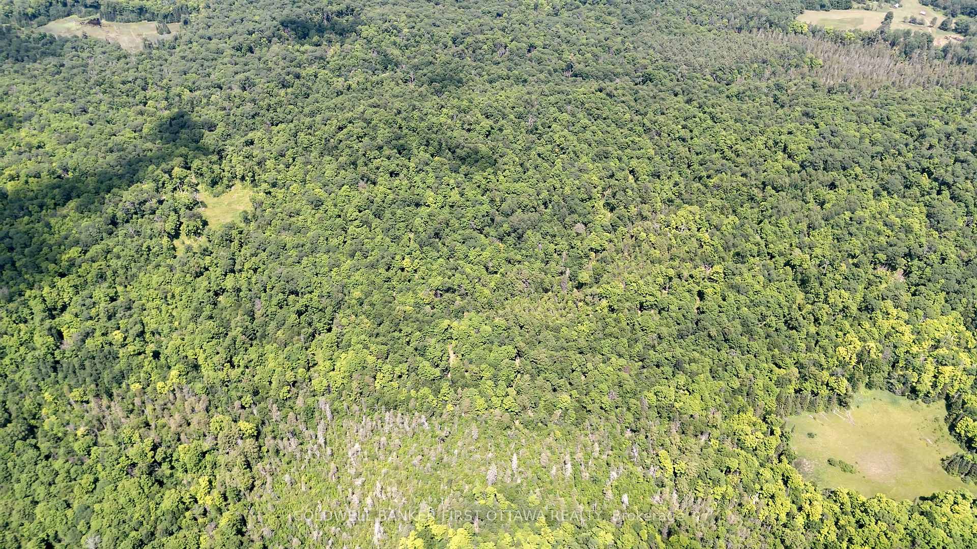 Photo 8 of 00 County 511 Road, Lanark Highlands, Lanark Highlands (Darling) Twp — HOMEH