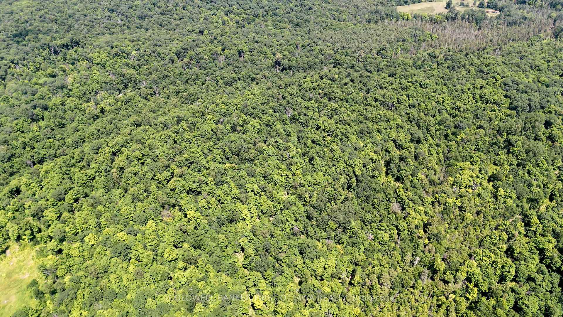 Photo 10 of 00 County 511 Road, Lanark Highlands, Lanark Highlands (Darling) Twp — HOMEH