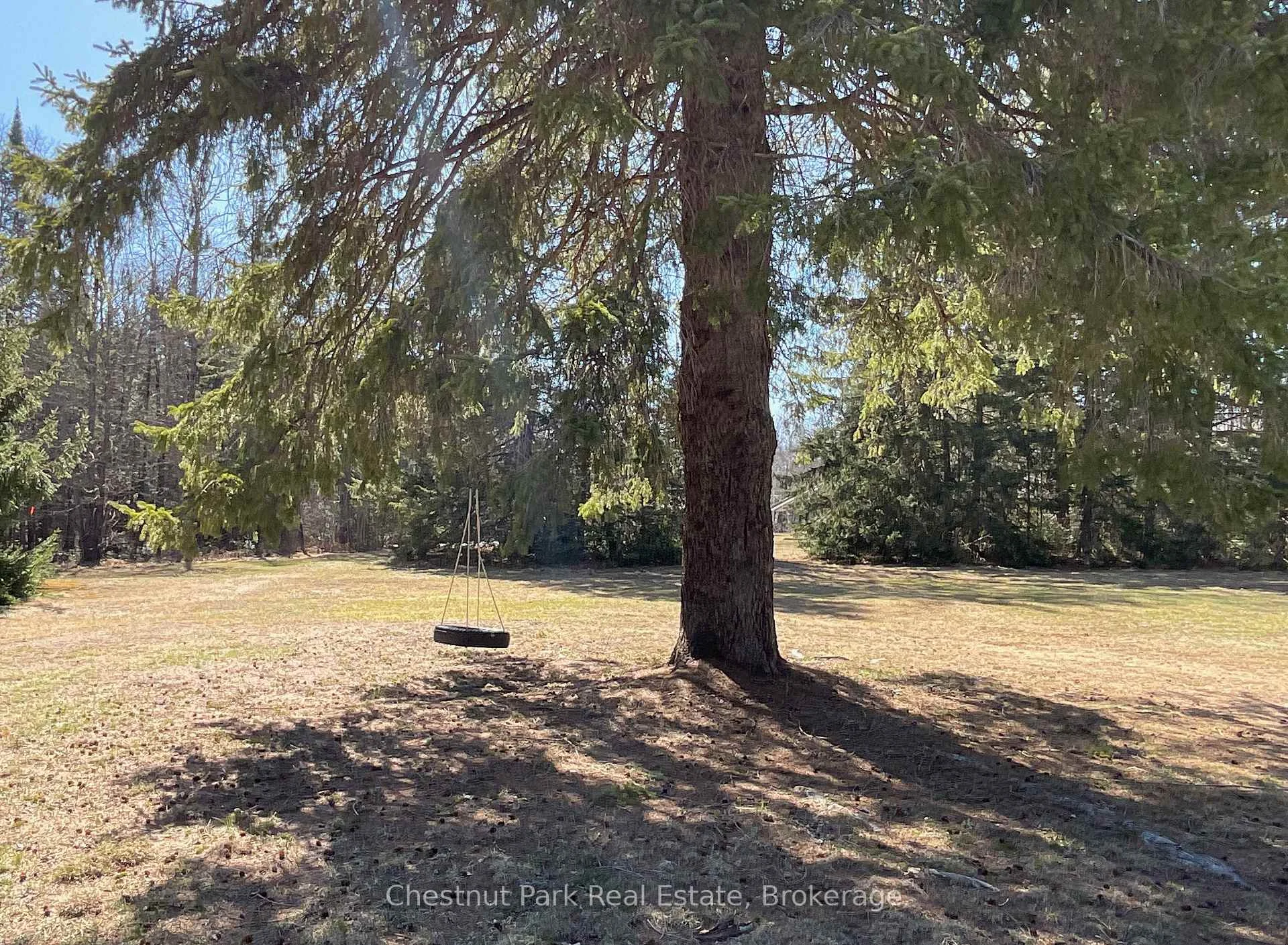 Photo 54 of 12 Emsdale Lake Road, Perry — HOMEH
