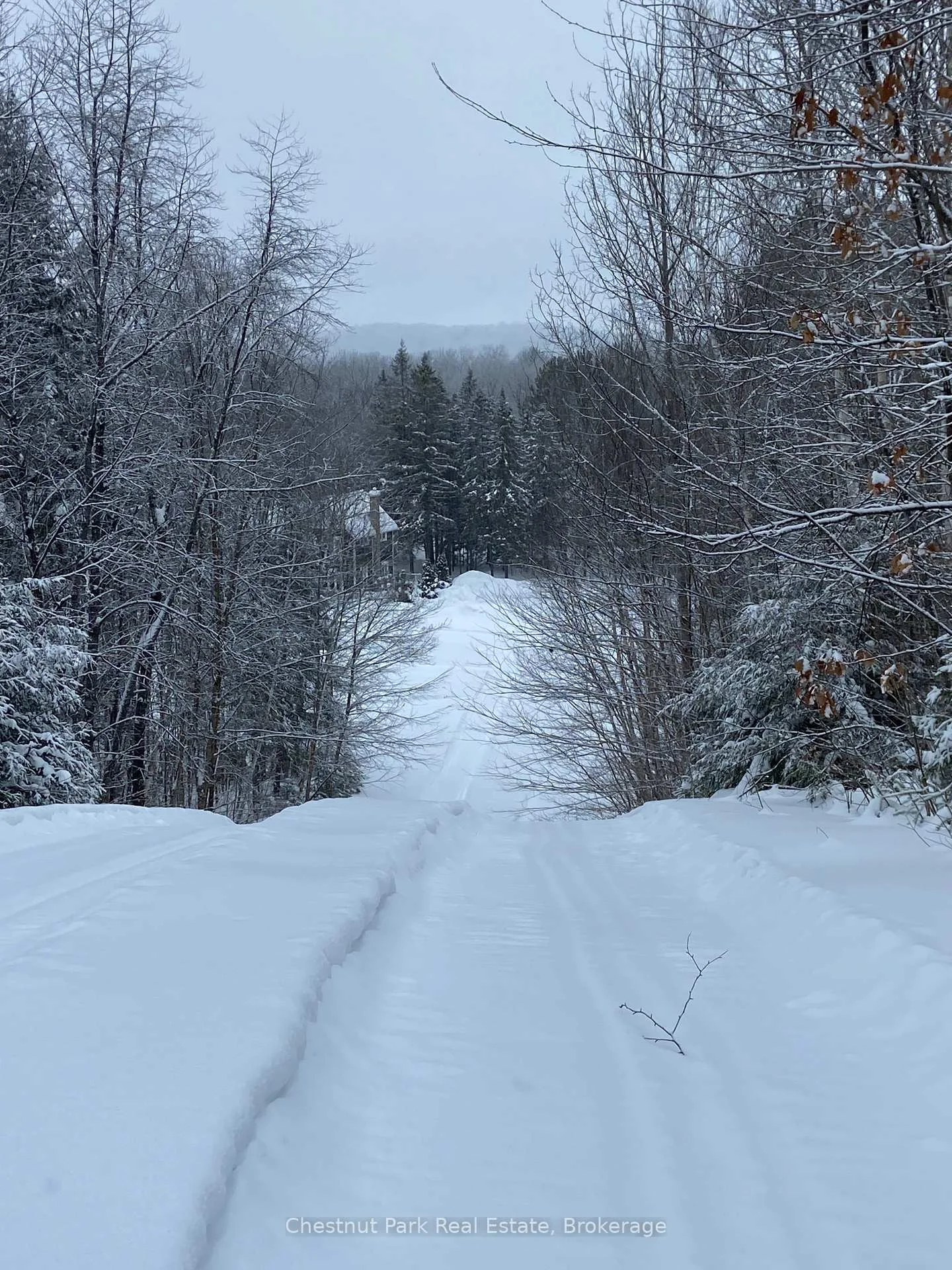 Photo 22 of 12 Emsdale Lake Road, Perry — HOMEH