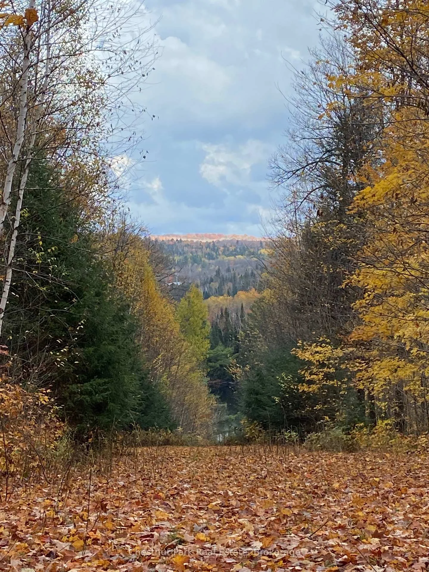 Photo 15 of 12 Emsdale Lake Road, Perry — HOMEH