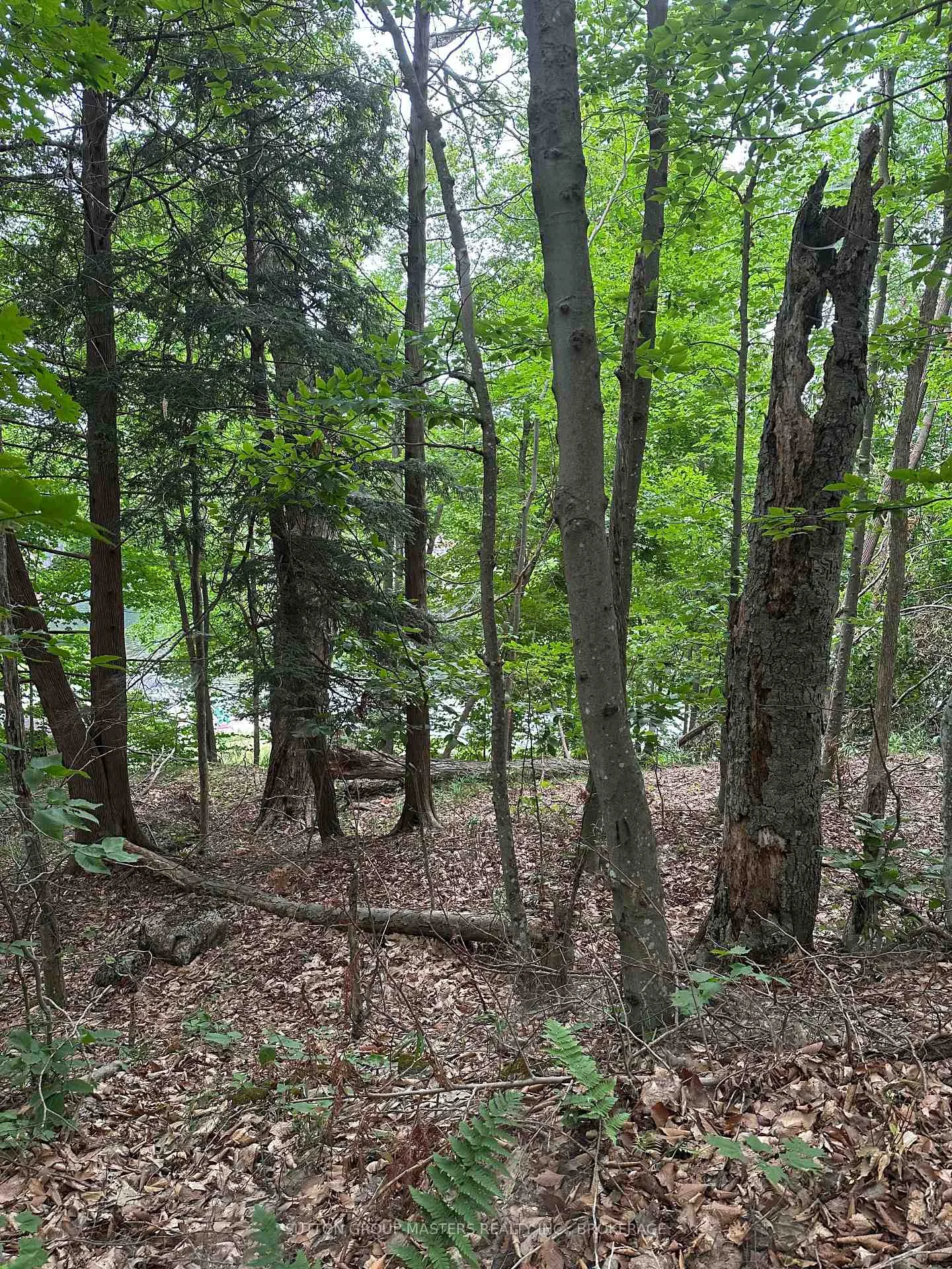 Photo of 2073 Silver Rock Lane