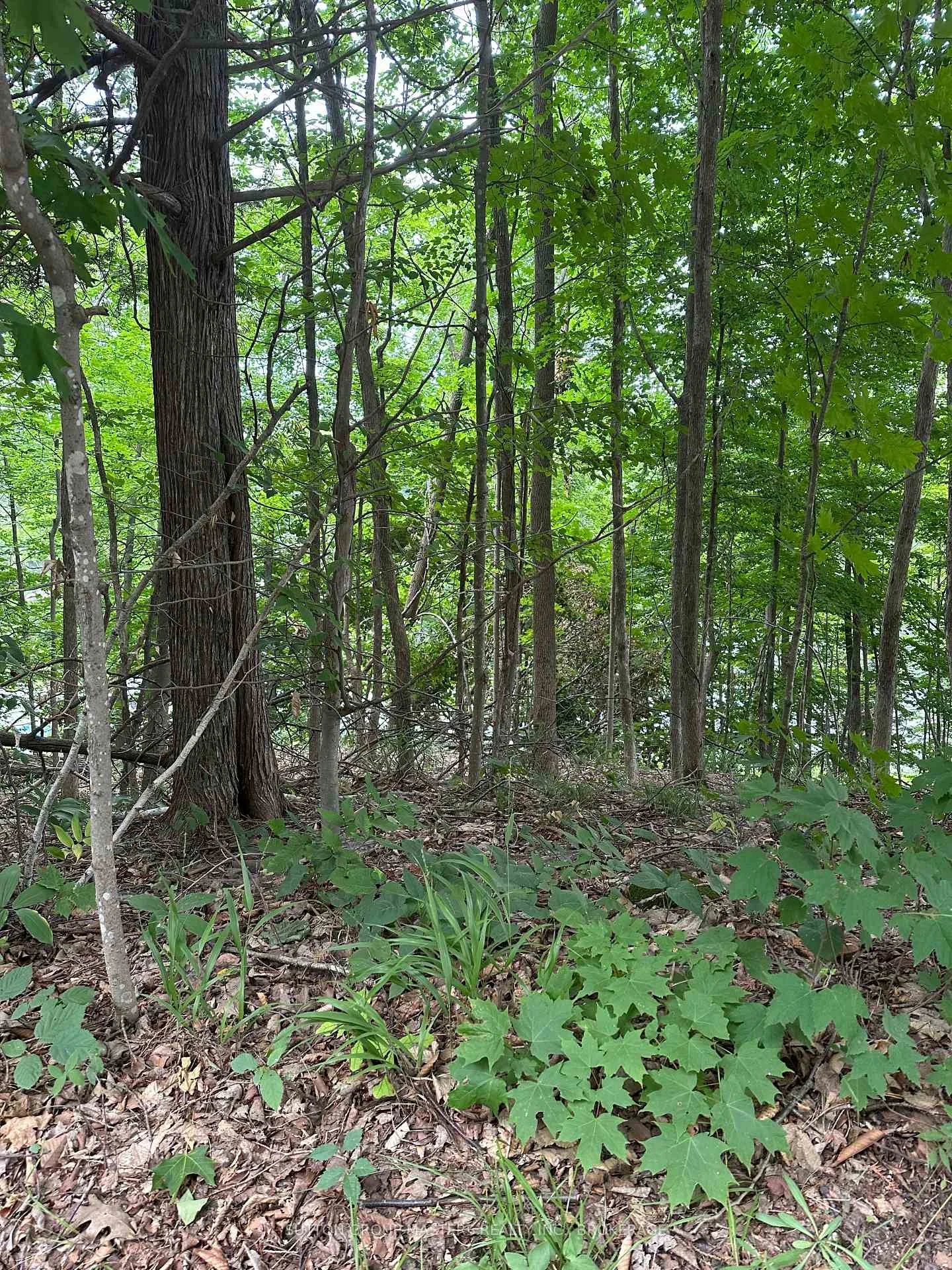 Photo 3 of 2073 Silver Rock Lane, Frontenac, Frontenac South — HOMEH