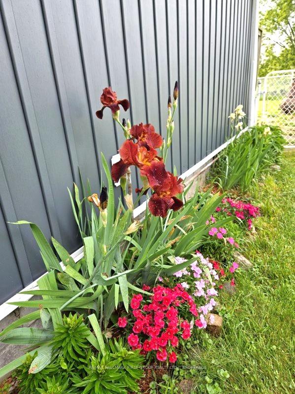Photo 29 of 2220 County 11 Road, Greater Napanee, Greater Napanee — HOMEH