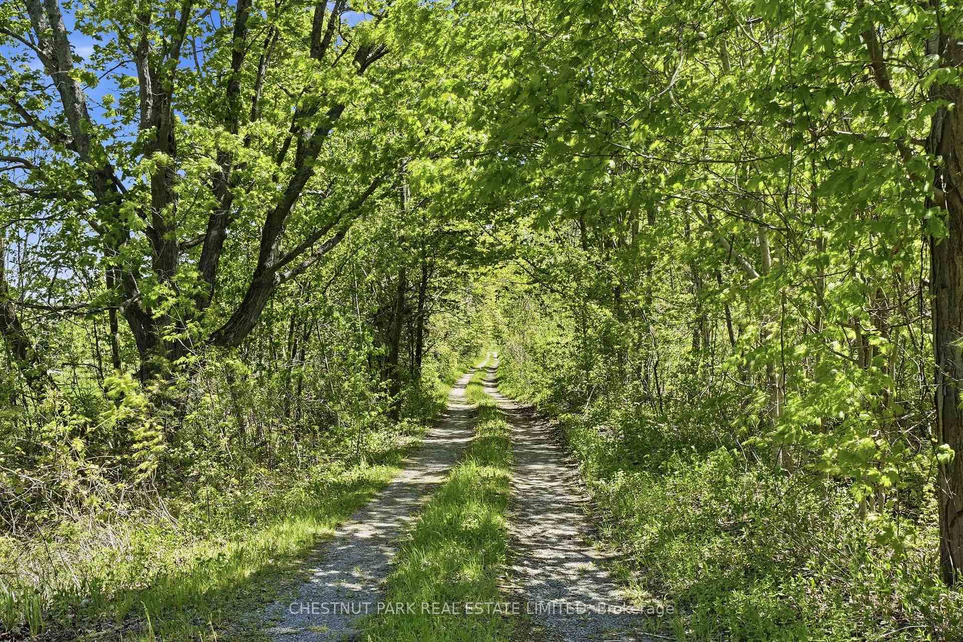 Photo 4 of 4176 County Road 8, Prince Edward County, North Marysburg Ward — HOMEH