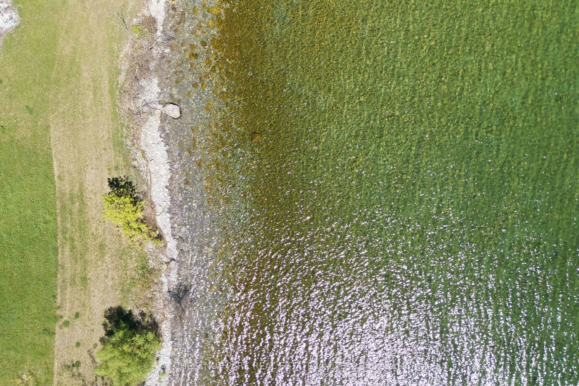 Photo 19 of 4176 County Road 8, Prince Edward County, North Marysburg Ward — HOMEH