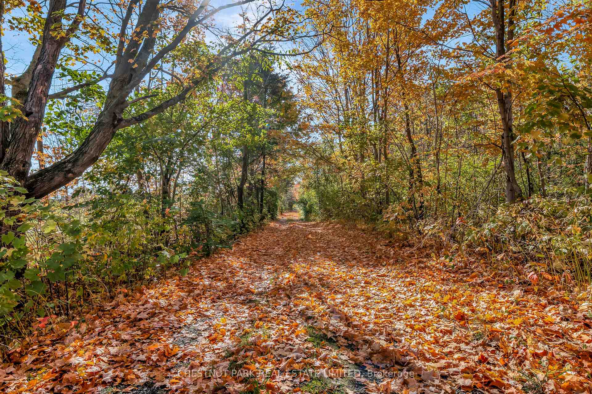 Photo 24 of 4176 County Road 8, Prince Edward County, North Marysburg Ward — HOMEH