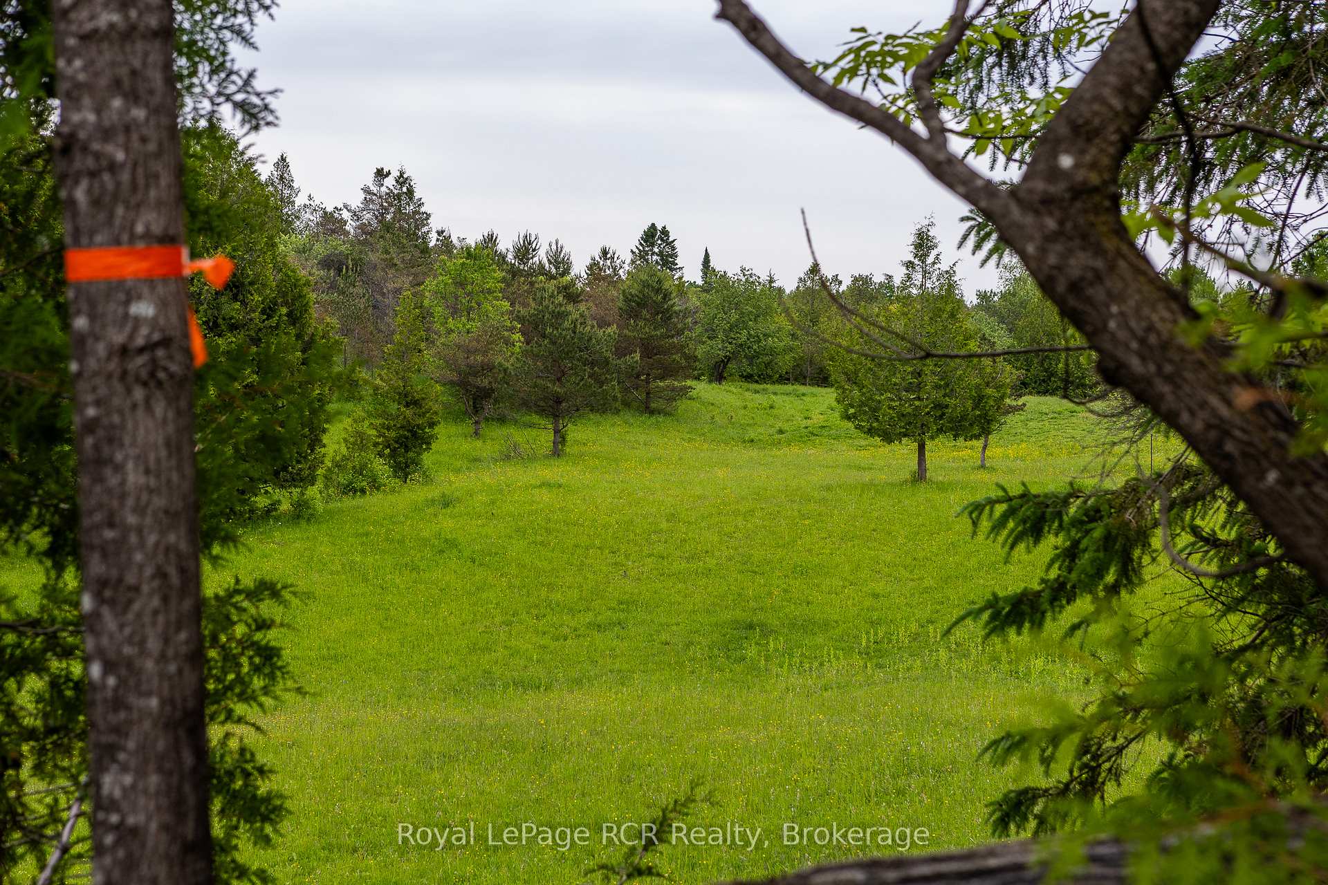 Photo 25 of Concession 8 Road, West Grey — HOMEH