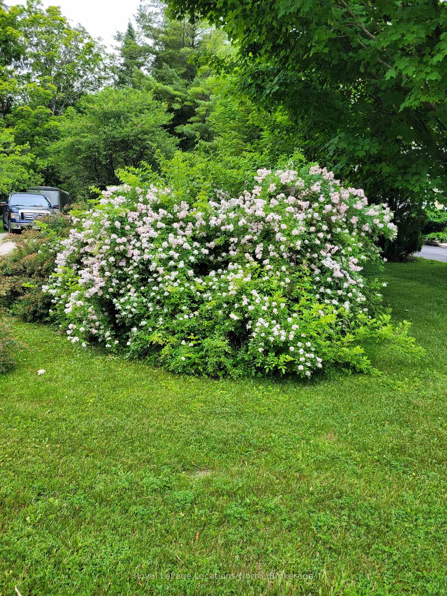 Photo 41 of 68 Centre Street, Meaford — HOMEH