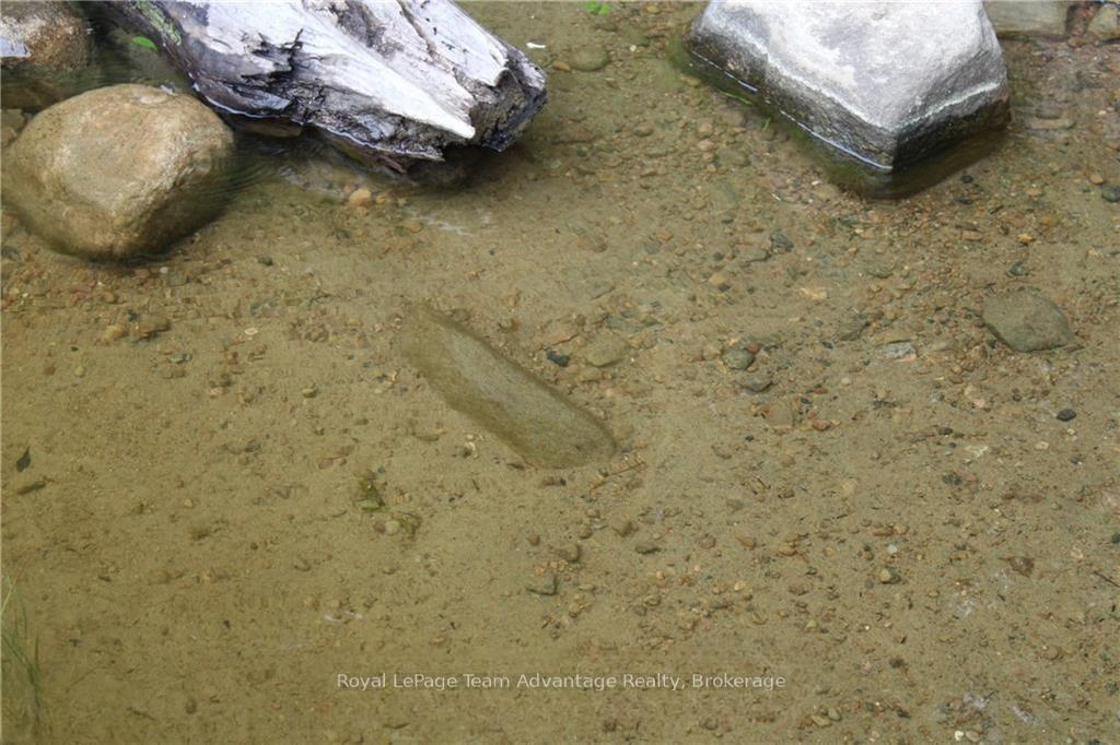 Photo 29 of 60WA Gooseneck Lake, Whitestone — HOMEH
