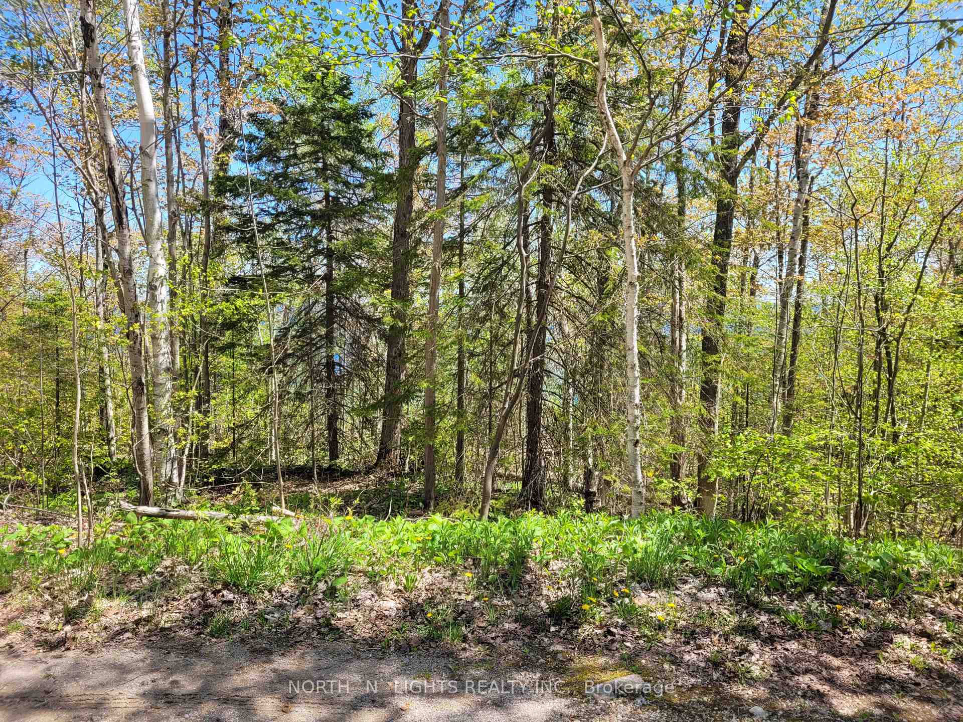 Photo of PT LOT 16 CON 38 Harkins Rd E