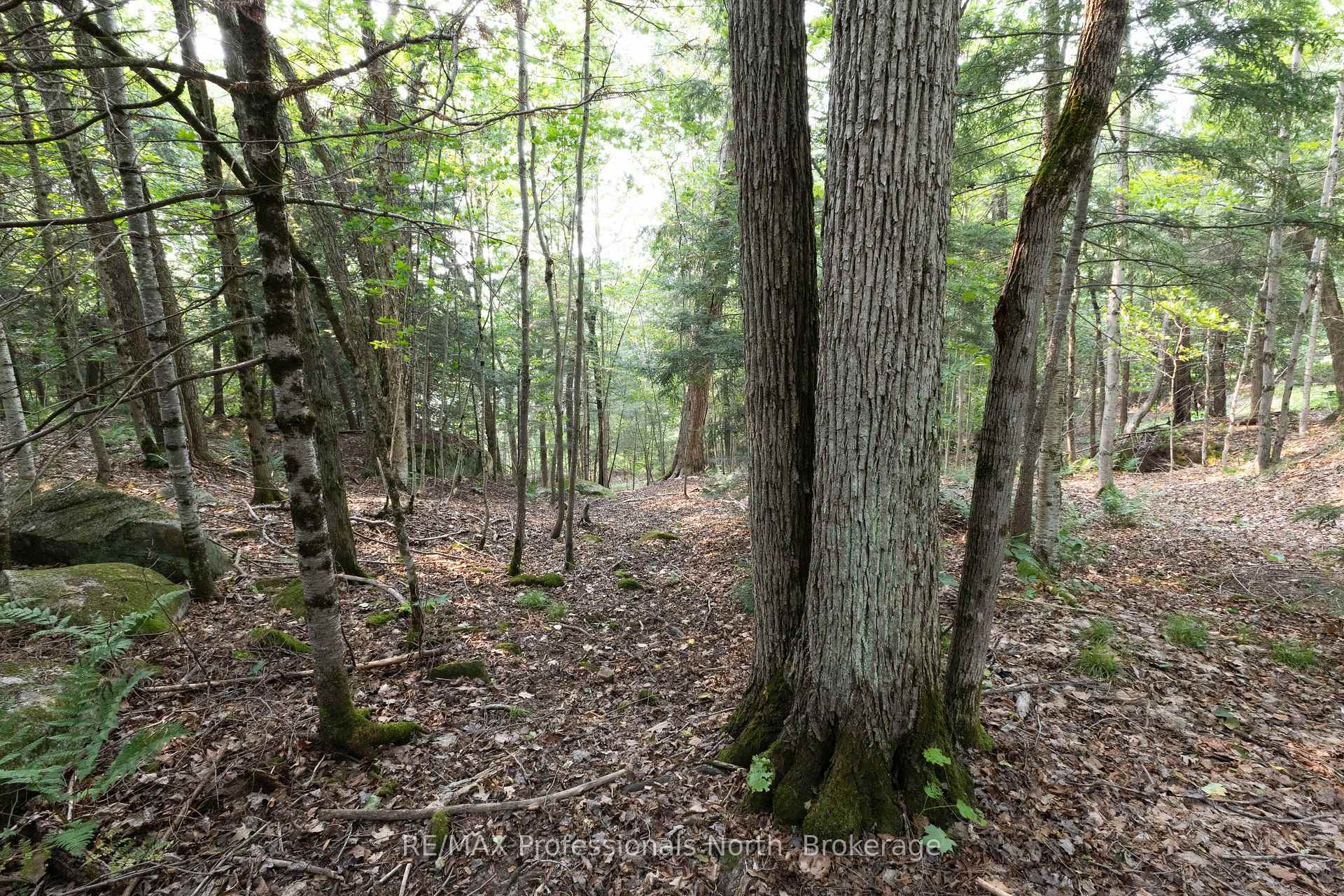 Photo 36 of 13 Hickory Crescent, Seguin — HOMEH