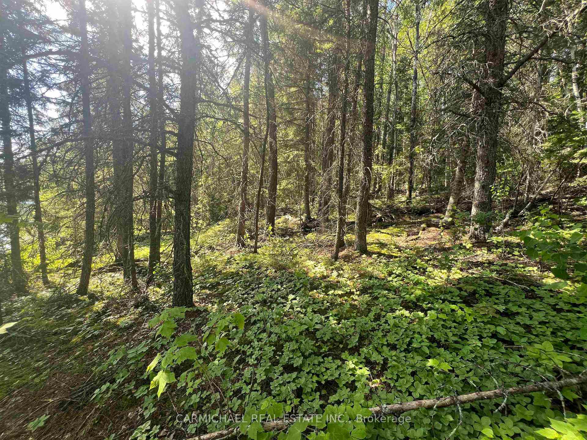 Photo 11 of Red Deer Lake, Kenora Remote Area, East Of Kenora — HOMEH