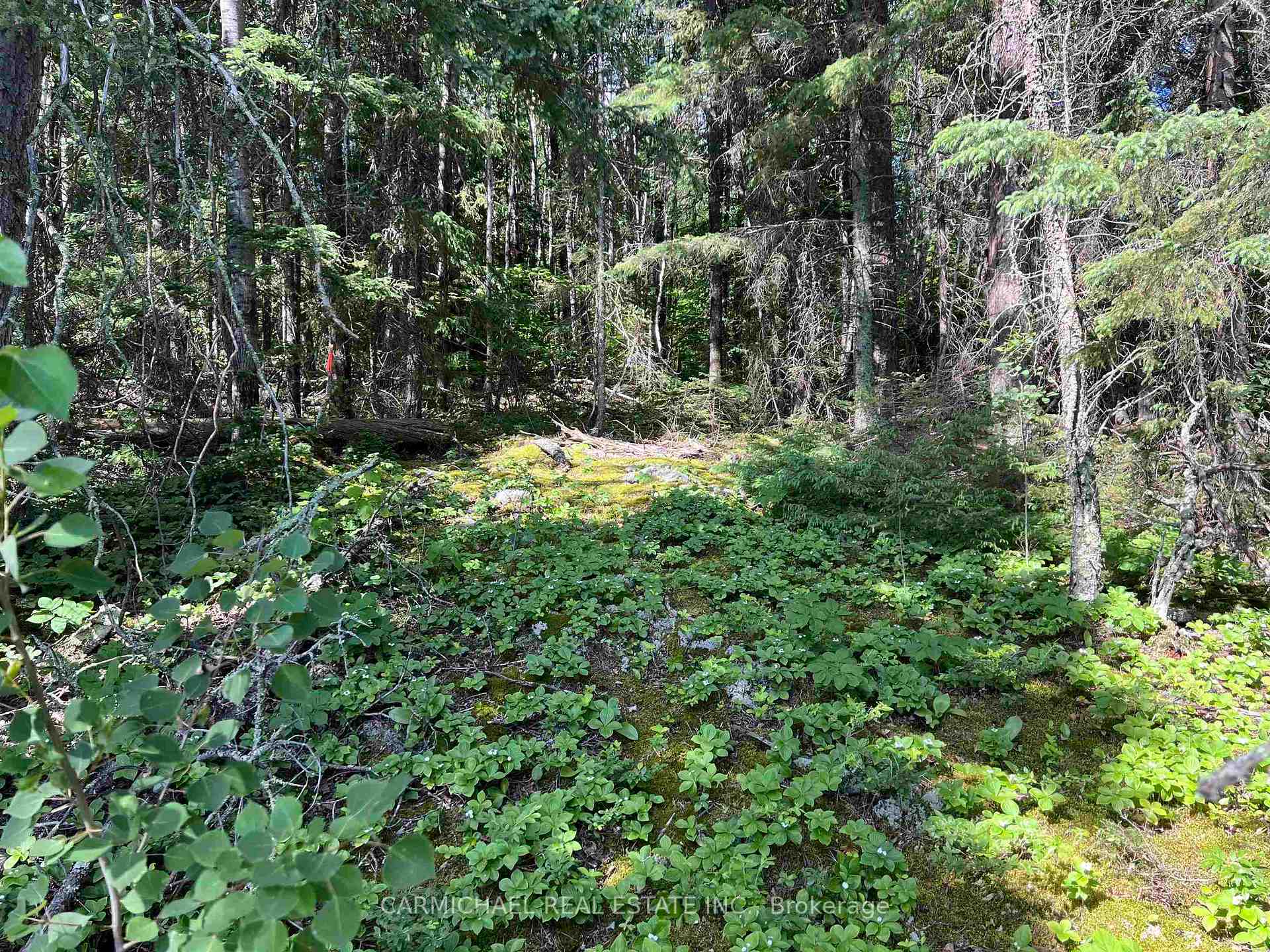 Photo 12 of Red Deer Lake, Kenora Remote Area, East Of Kenora — HOMEH