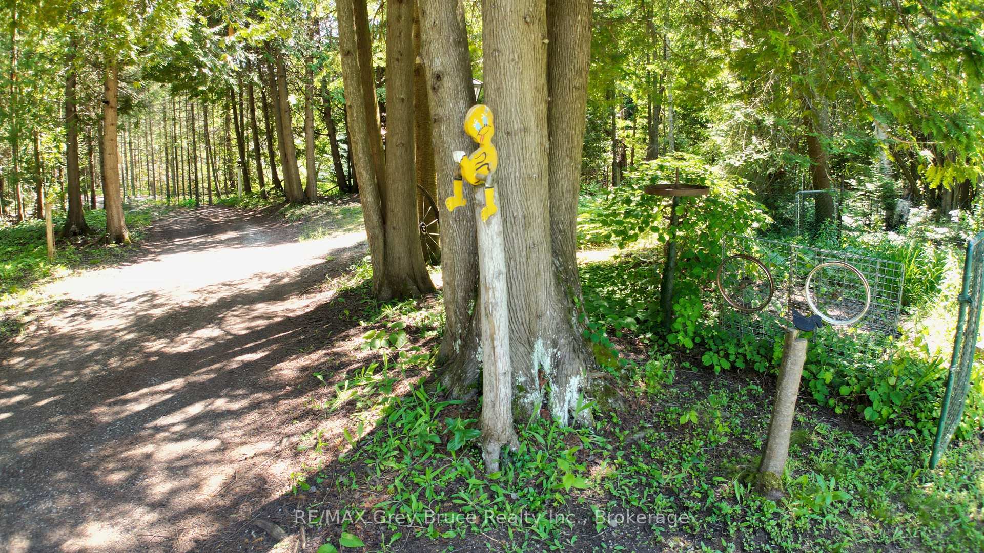 Photo 11 of 76 Burma Road, Northern Bruce Peninsula — HOMEH