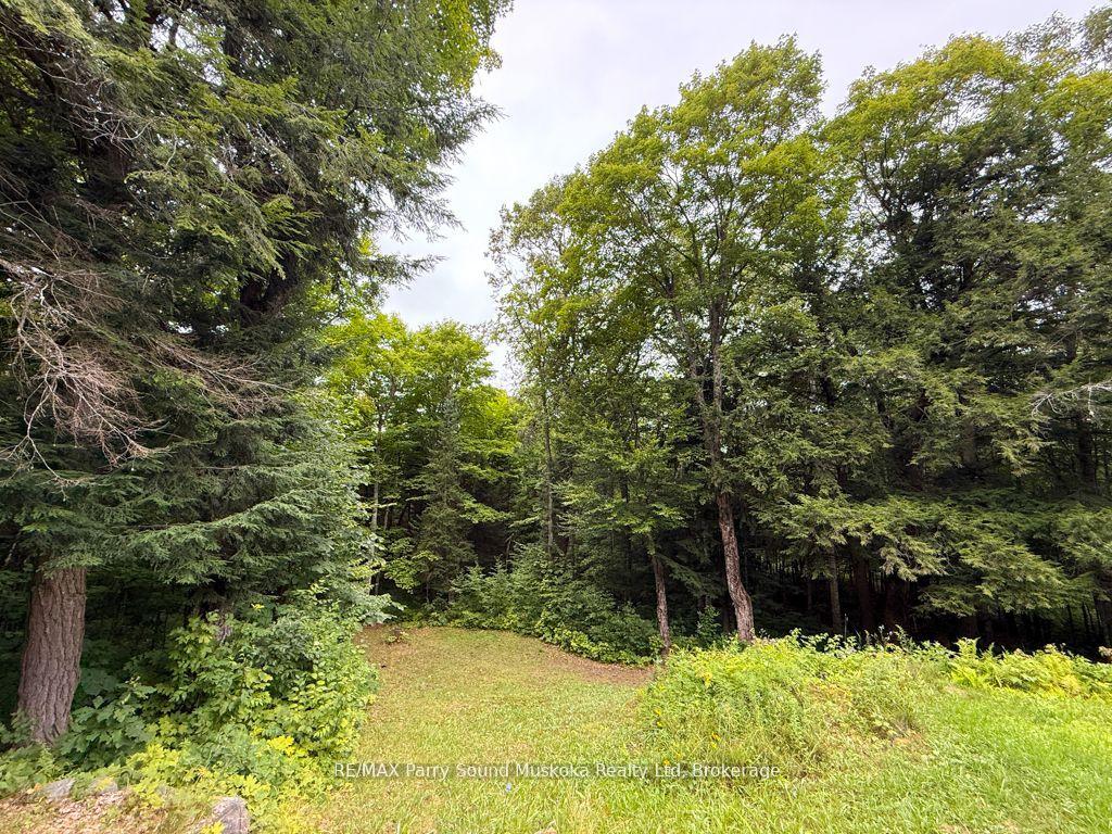 Photo 13 of 335 Centre Road, McKellar — HOMEH