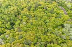 Photo 3 of Josie Lane, Deep River, Deep River — HOMEH