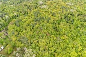 Photo 8 of Josie Lane, Deep River, Deep River — HOMEH