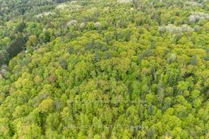 Photo 9 of Josie Lane, Deep River, Deep River — HOMEH