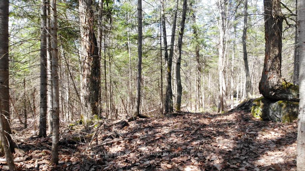 Photo 5 of 1025 520N Highway, Whitestone — HOMEH