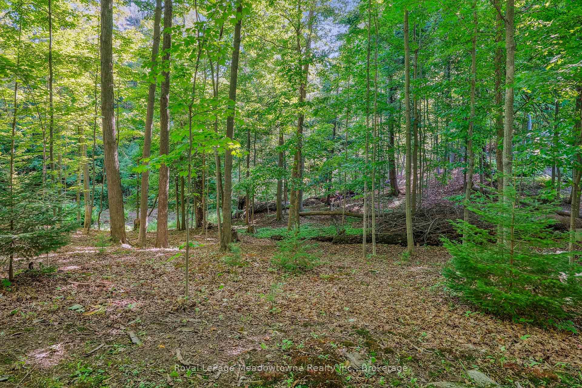 Photo 48 of 9878 15 Side Road, Halton Hills, Rural Esquesing — HOMEH