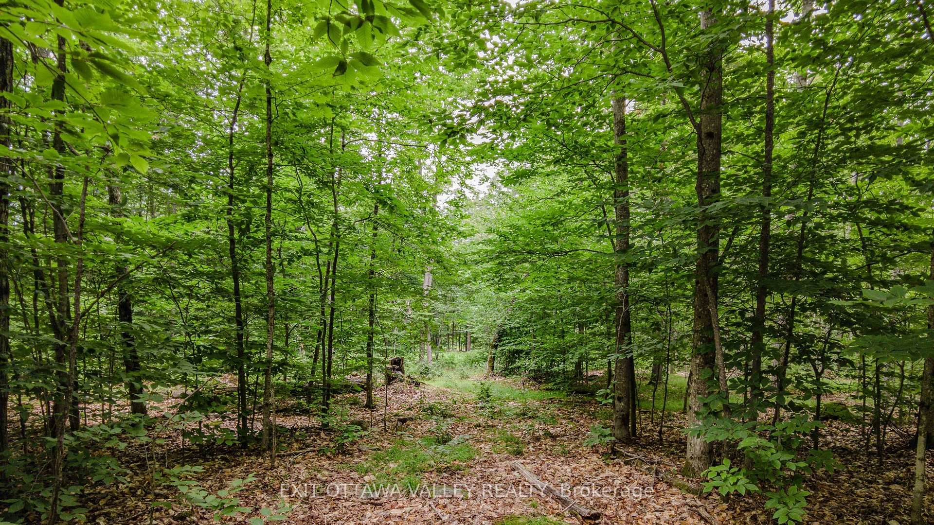 Photo of 0 Peplinskie Road