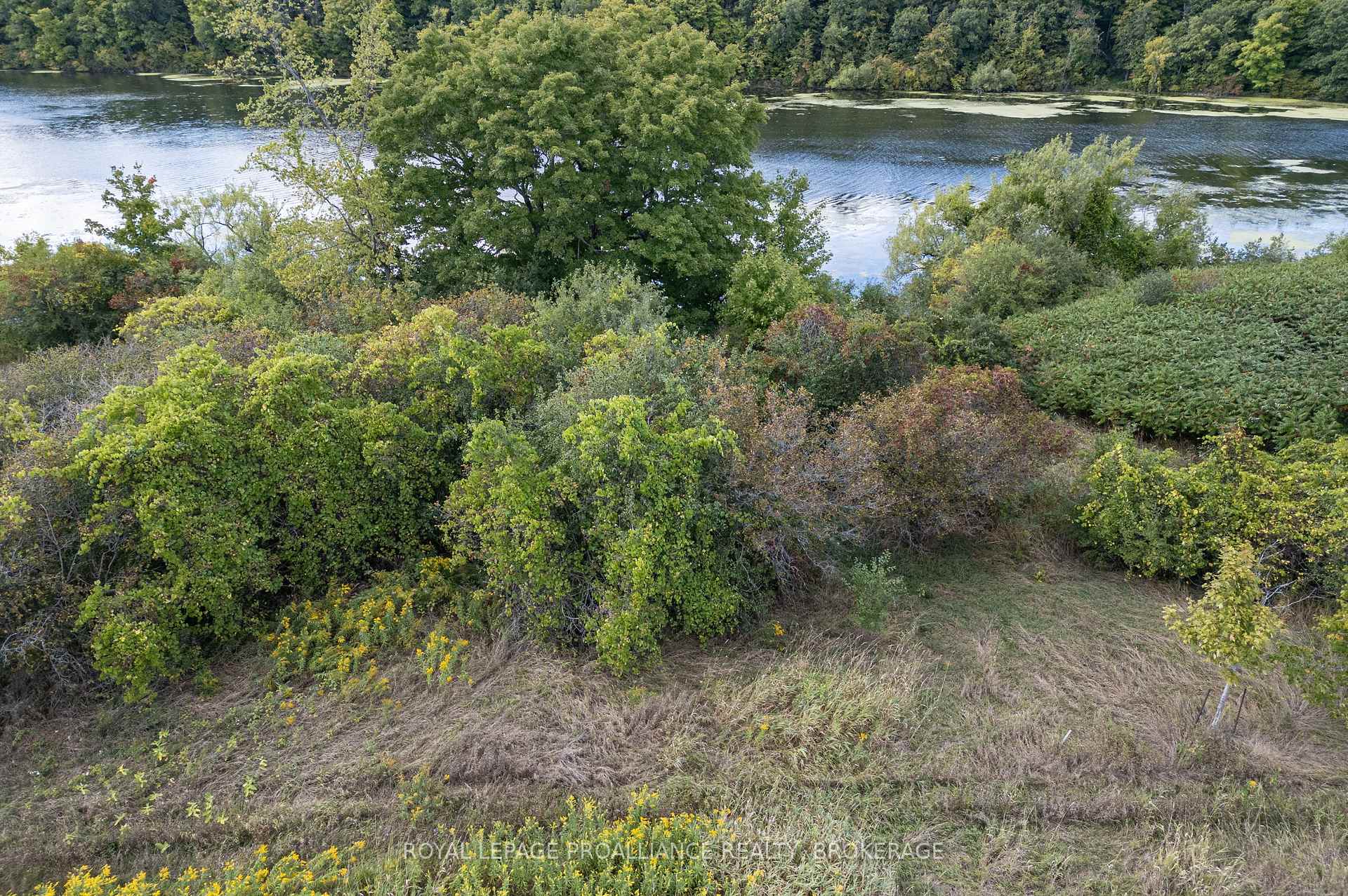 Photo 11 of 114 Hineman Street, Kingston, City North of 401 — HOMEH