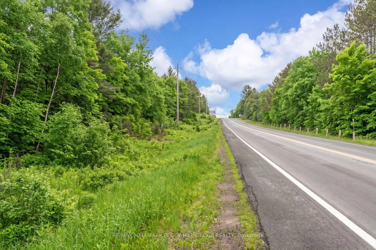 Photo 2 of County Road 121, Minden Hills, Minden — HOMEH