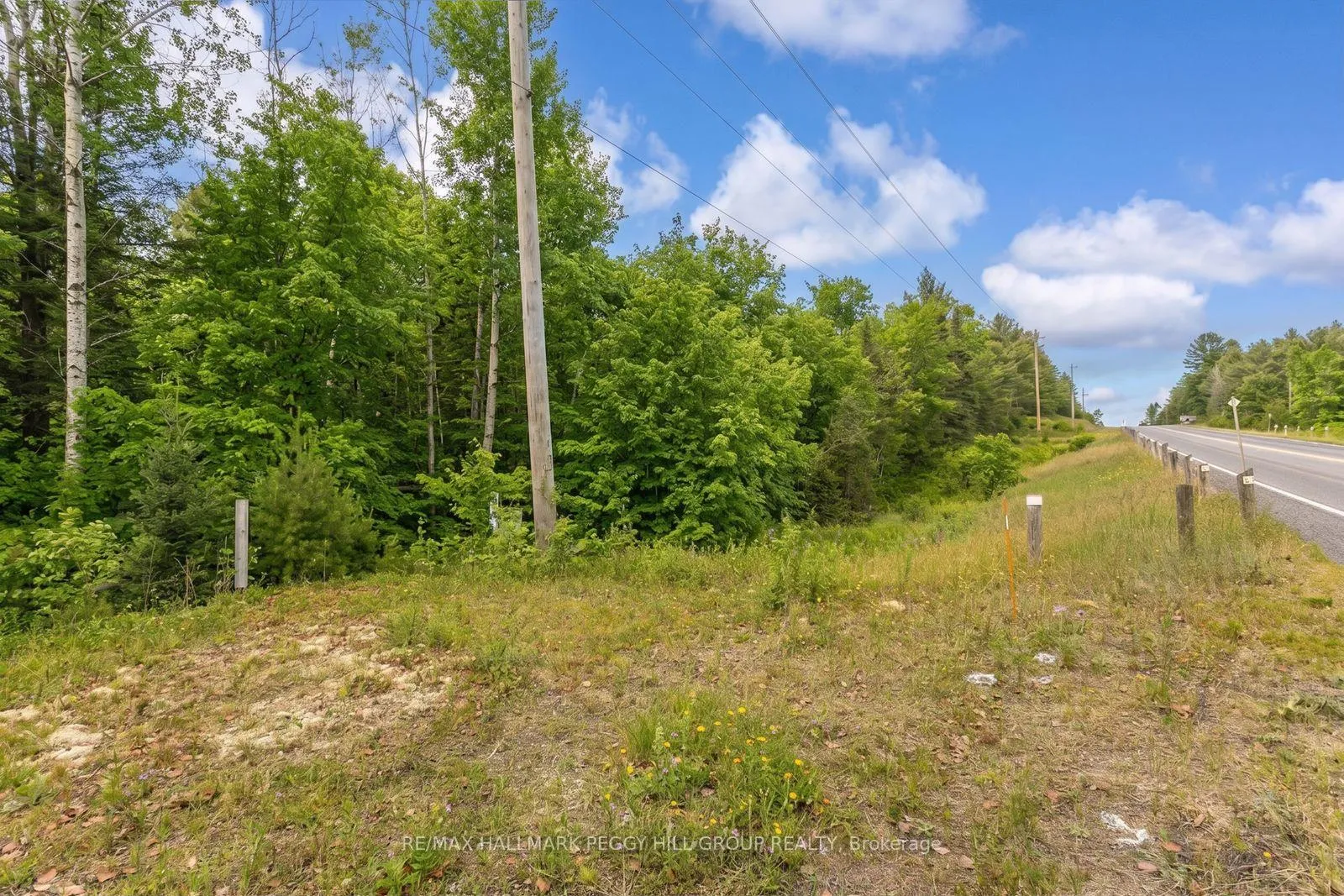 Photo 3 of County Road 121, Minden Hills, Minden — HOMEH