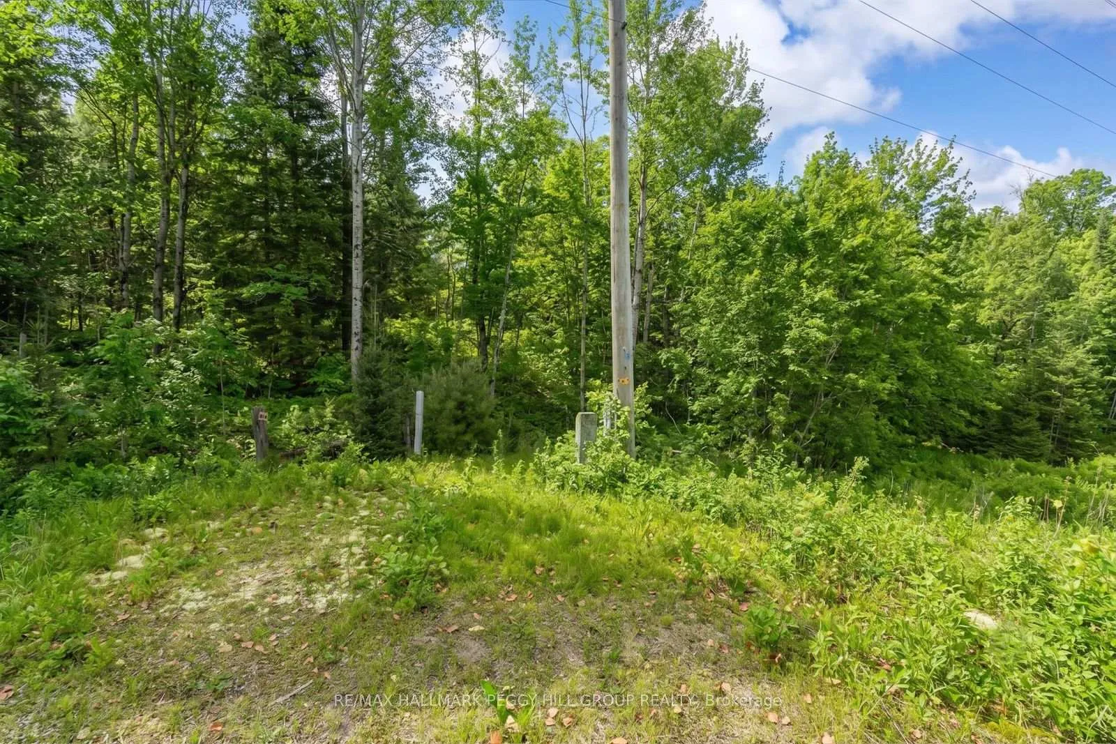 Photo 4 of County Road 121, Minden Hills, Minden — HOMEH