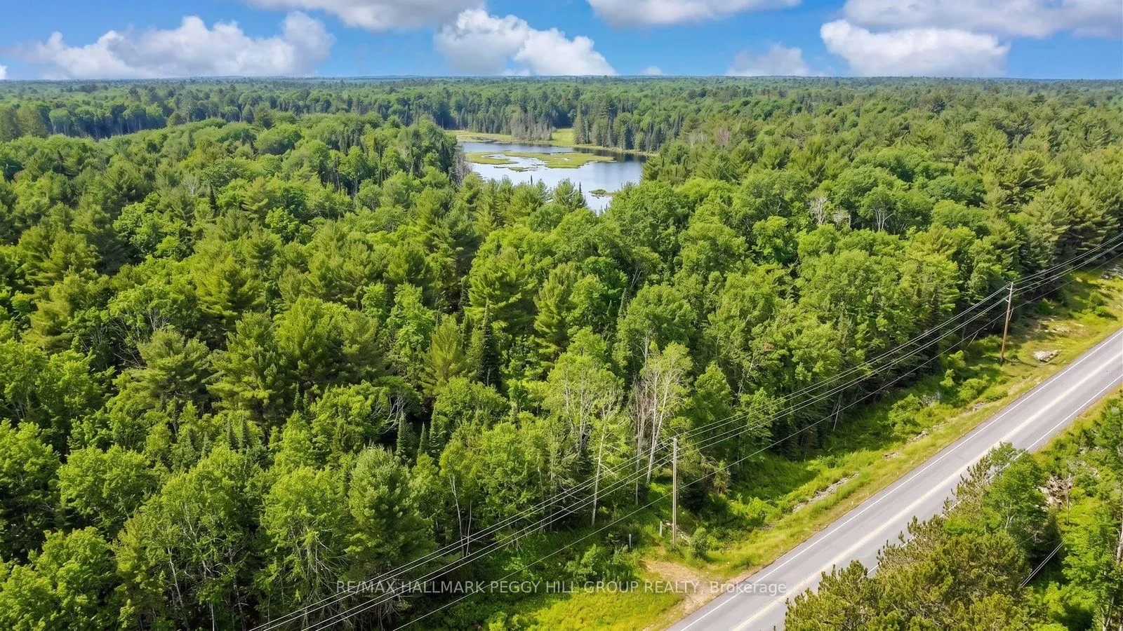 Photo 6 of County Road 121, Minden Hills, Minden — HOMEH