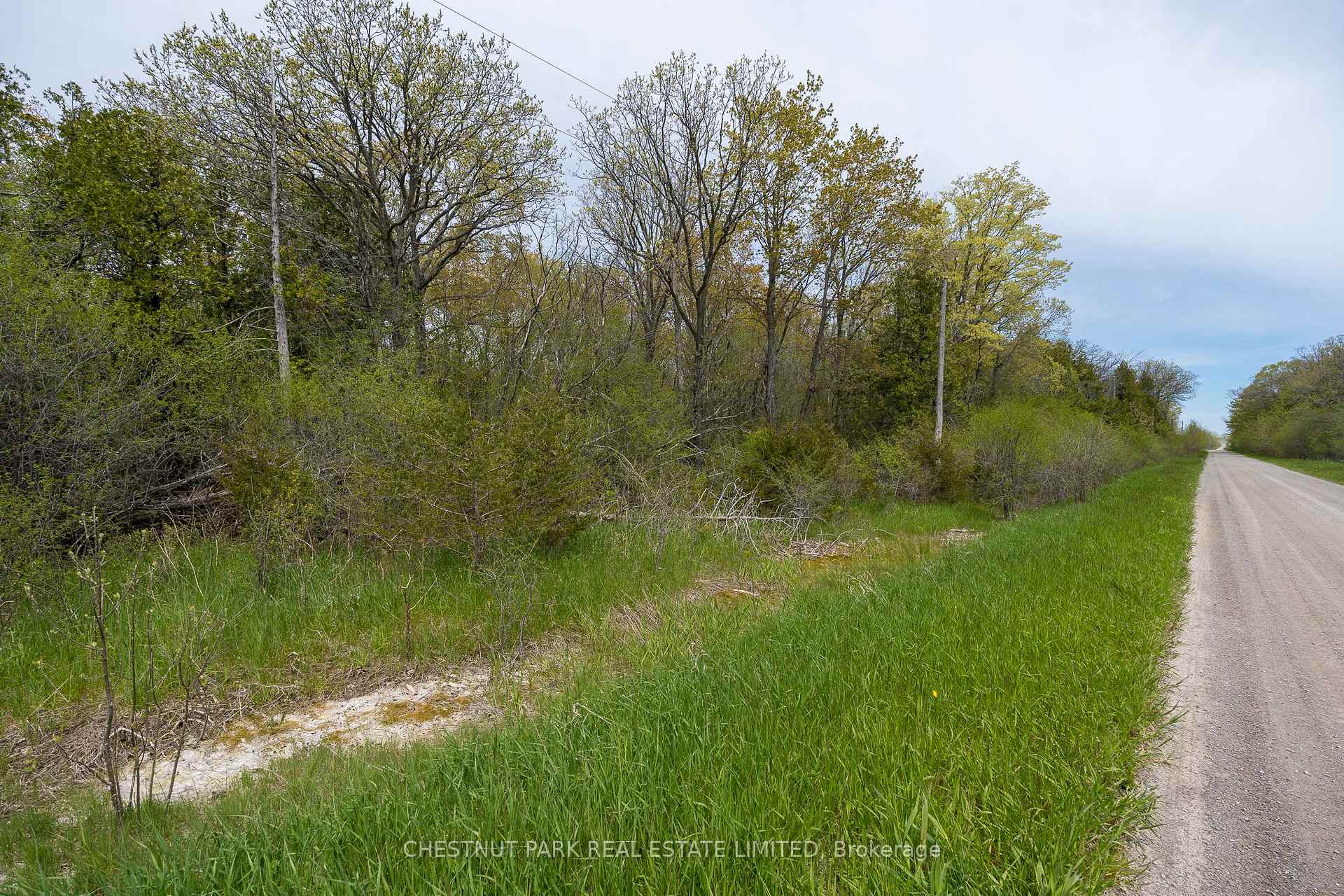 Photo 10 of 206 Simpson Road, Prince Edward County, Athol Ward — HOMEH