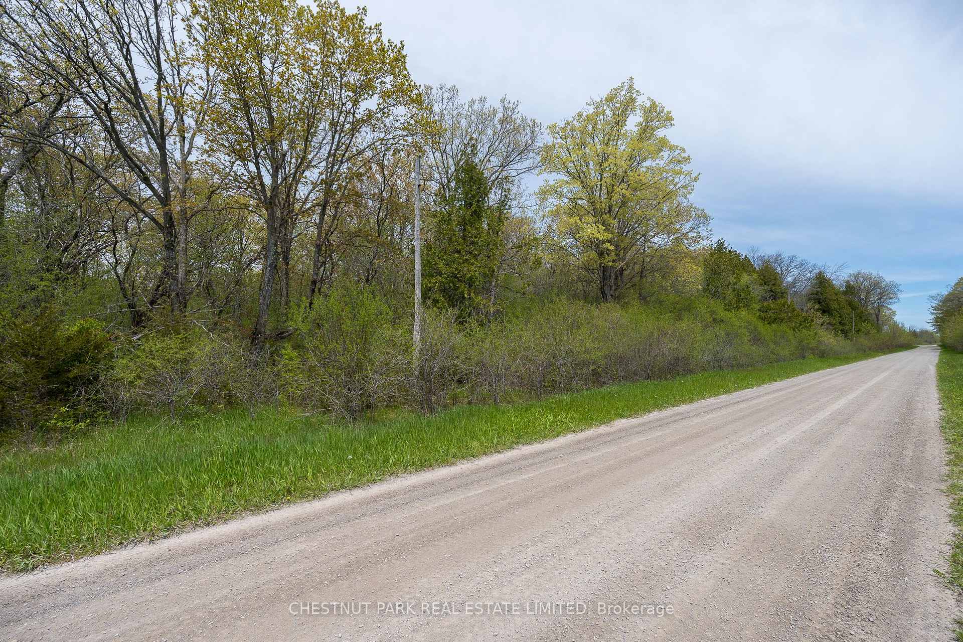 Photo 11 of 206 Simpson Road, Prince Edward County, Athol Ward — HOMEH