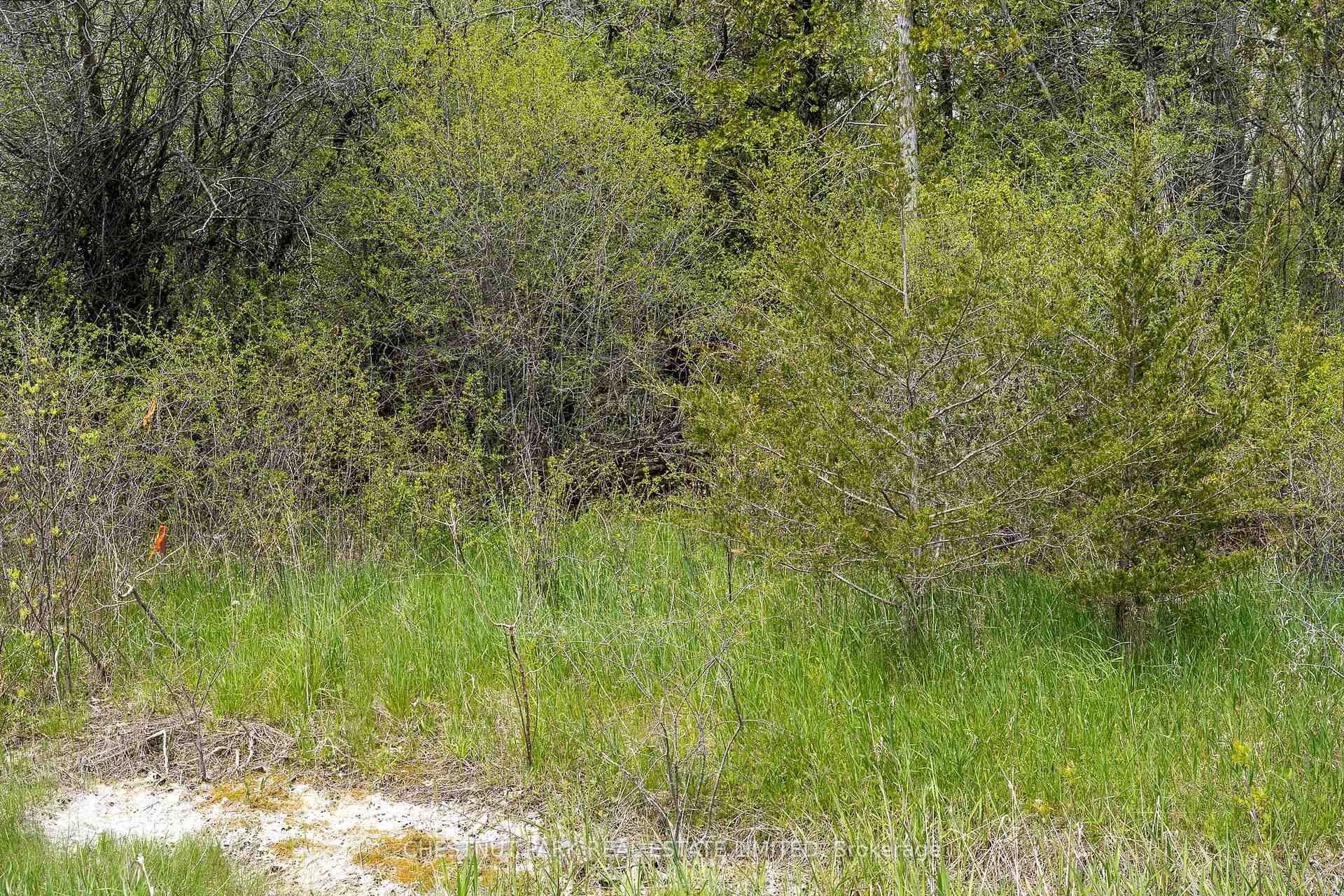 Photo 12 of 206 Simpson Road, Prince Edward County, Athol Ward — HOMEH
